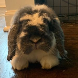 Meet your Posher, James